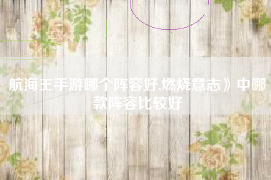 航海王手游哪个阵容好,燃烧意志》中哪款阵容比较好