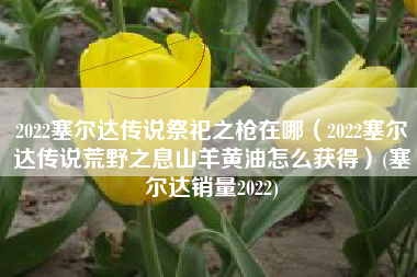 2022塞尔达传说祭祀之枪在哪（2022塞尔达传说荒野之息山羊黄油怎么获得）(塞尔达销量2022)