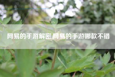 网易的手游解密,网易的手游哪款不错