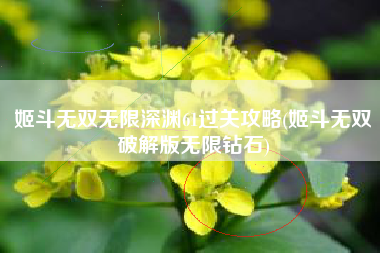 姬斗无双无限深渊61过关攻略(姬斗无双破解版无限钻石)