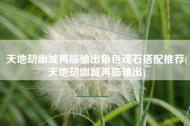 天地劫幽城再临输出角色魂石搭配推荐(天地劫幽城再临输出)