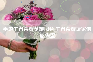 手游王者荣耀英雄图片,王者荣耀玩家倍感失望