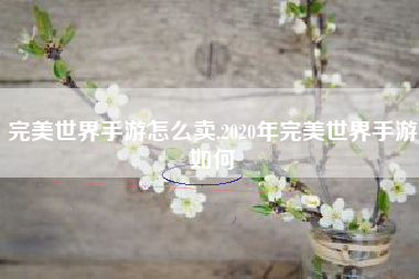 完美世界手游怎么卖,2020年完美世界手游如何