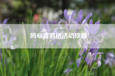 同心渡鹊桥活动攻略