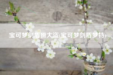宝可梦剑盾猾大盗(宝可梦剑盾梦特)