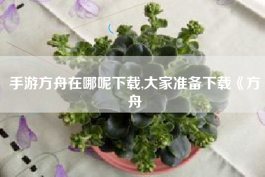手游方舟在哪呢下载,大家准备下载《方舟
