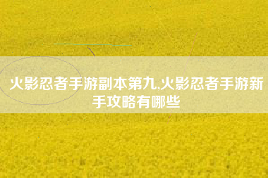 火影忍者手游副本第九,火影忍者手游新手攻略有哪些