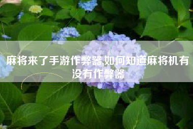 麻将来了手游作弊器,如何知道麻将机有没有作弊器