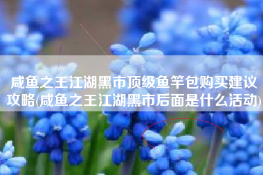 咸鱼之王江湖黑市顶级鱼竿包购买建议攻略(咸鱼之王江湖黑市后面是什么活动)