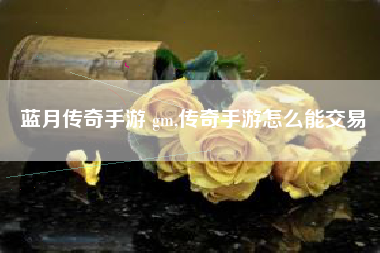 蓝月传奇手游 gm,传奇手游怎么能交易
