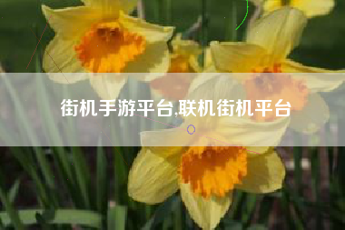 街机手游平台,联机街机平台