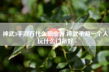 神武3手游万什么职业好,神武手游一个人玩什么门派好