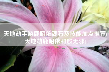 天地劫手游鹿昭依魂石及技能加点推荐(天地劫鹿昭依和殷无邪)