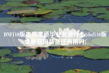 DNF110版本男柔道毕业装是什么(dnf110版本奥兹玛装备还有用吗)