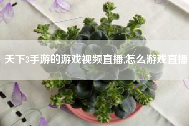 天下3手游的游戏视频直播,怎么游戏直播