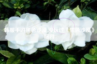 韩服手游黑色沙漠,没玩过《黑色沙漠》端游