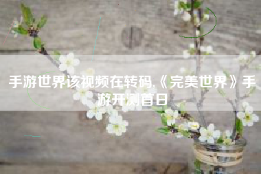 手游世界该视频在转码,《完美世界》手游开测首日