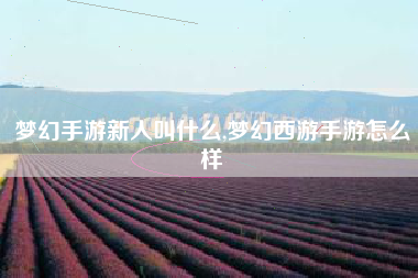 梦幻手游新人叫什么,梦幻西游手游怎么样