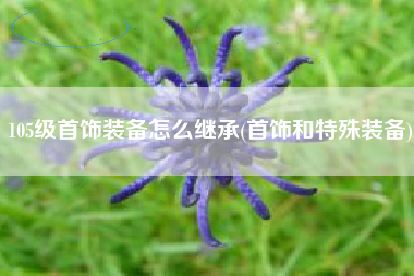 105级首饰装备怎么继承(首饰和特殊装备)
