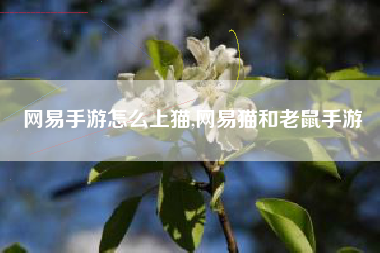 网易手游怎么上猫,网易猫和老鼠手游
