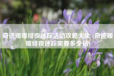 奇迹暖暖绯夜迷踪活动攻略大全 (奇迹暖暖绯夜迷踪需要多少钻)