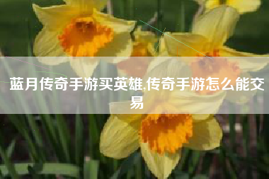 蓝月传奇手游买英雄,传奇手游怎么能交易