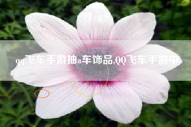 qq飞车手游抽a车饰品,QQ飞车手游中