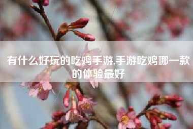 有什么好玩的吃鸡手游,手游吃鸡哪一款的体验最好
