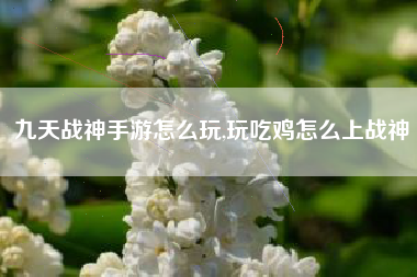 九天战神手游怎么玩,玩吃鸡怎么上战神