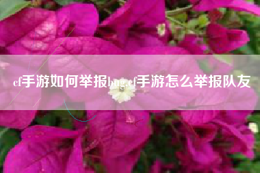cf手游如何举报bug,cf手游怎么举报队友