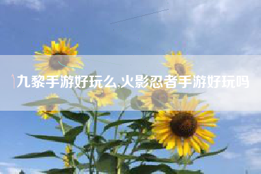 九黎手游好玩么,火影忍者手游好玩吗