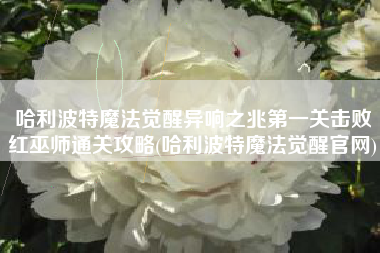 哈利波特魔法觉醒异响之兆第一关击败红巫师通关攻略(哈利波特魔法觉醒官网)