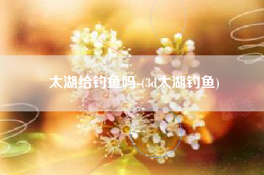 太湖给钓鱼吗-(3d太湖钓鱼)