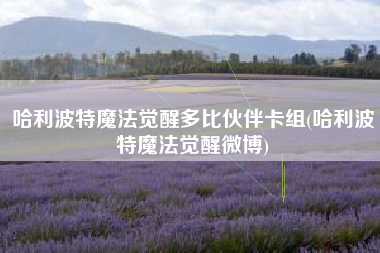 哈利波特魔法觉醒多比伙伴卡组(哈利波特魔法觉醒微博)