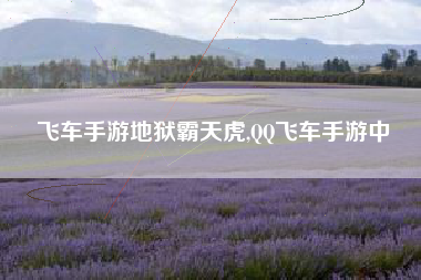 飞车手游地狱霸天虎,QQ飞车手游中