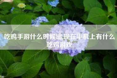 吃鸡手游什么时候出,现在手机上有什么吃鸡游戏