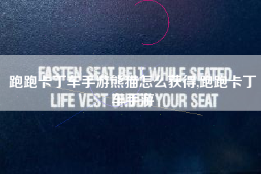 跑跑卡丁车手游熊猫怎么获得,跑跑卡丁车手游