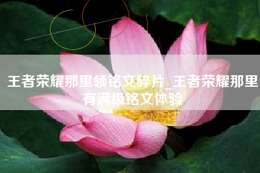王者荣耀那里领铭文碎片_王者荣耀那里有满级铭文体验