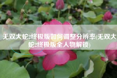 无双大蛇2终极版如何调整分辨率(无双大蛇2终极版全人物解锁)