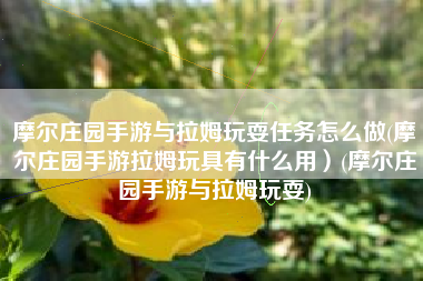 摩尔庄园手游与拉姆玩耍任务怎么做(摩尔庄园手游拉姆玩具有什么用）(摩尔庄园手游与拉姆玩耍)
