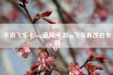 手游飞车卡bug道具,手游qq飞车有改名卡吗