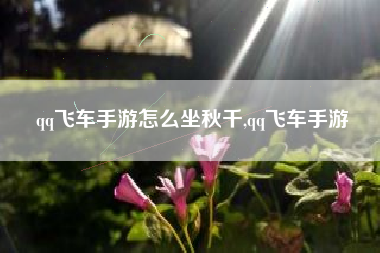 qq飞车手游怎么坐秋千,qq飞车手游