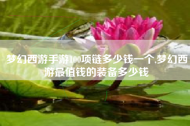 梦幻西游手游100项链多少钱一个,梦幻西游最值钱的装备多少钱