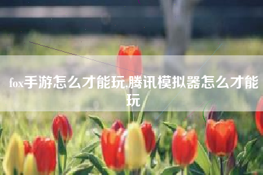 fox手游怎么才能玩,腾讯模拟器怎么才能玩