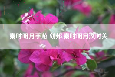 秦时明月手游 刘邦,秦时明月汉时关