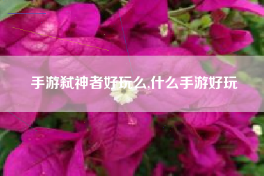 手游弑神者好玩么,什么手游好玩