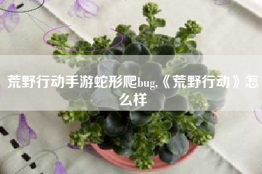 荒野行动手游蛇形爬bug,《荒野行动》怎么样