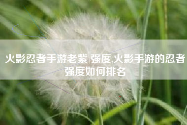 火影忍者手游老紫 强度,火影手游的忍者强度如何排名