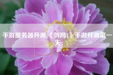手游服务器开测,《剑网3》手游开测第一天