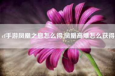 cf手游凤凰之息怎么得,凤凰高爆怎么获得